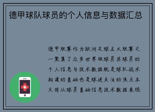 德甲球队球员的个人信息与数据汇总