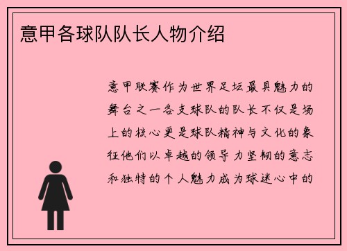 意甲各球队队长人物介绍